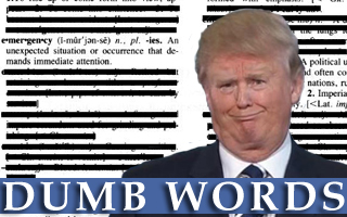 Trump Signs Order to Limit Number of Words